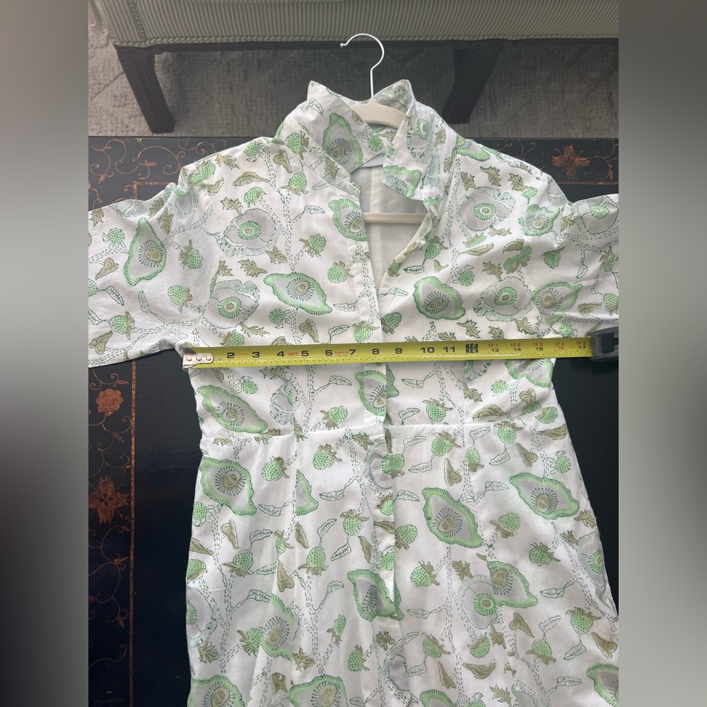 Julia Amory Cotton Button Down Shirt Dress in Celadon Buttercup - Picture 8 of 9